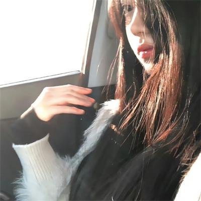 野·良犬